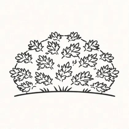 Coloring Roots 21 free printable coloring page