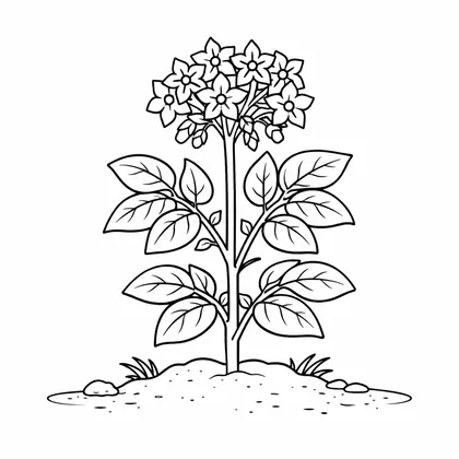Coloring Roots 7 free printable coloring page
